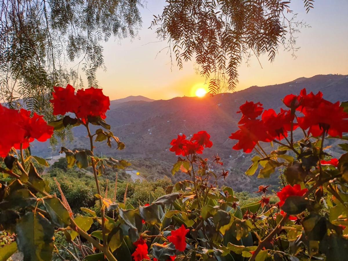 Cortijo La Rijana Villa Sayalonga Buitenkant foto
